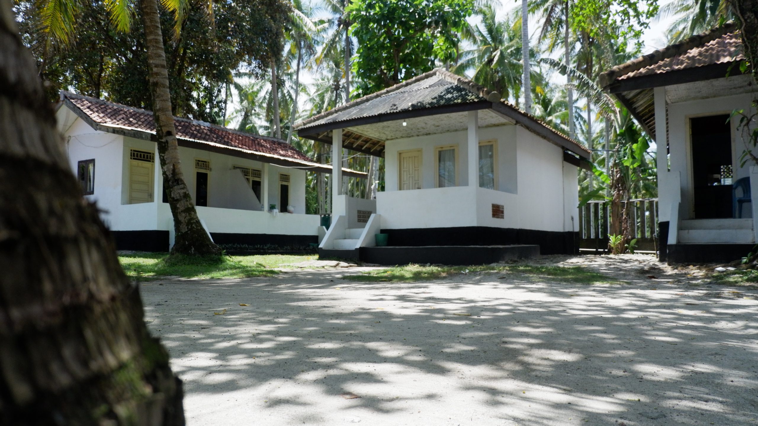 Utopia Surf Camp: Akomodasi Tepi Pantai yang Tawarkan Olahraga Surfing di Pesisir Barat
