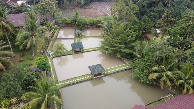 Saung Suka: Penginapan yang Hadirkan Warna Pedesaan Tradisional di Pesawaran