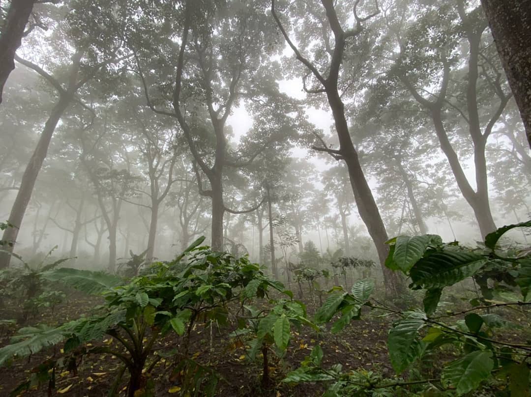 Desa Wisata Sumber Agung, Trekking hingga Camping dengan Konsep Agrowisata Dekat Kota