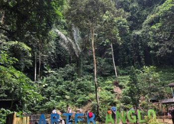 Menjelajah Pesona Air Terjun Anglo: Surga Tersembunyi Sebuah Pedesaan di Pesawaran