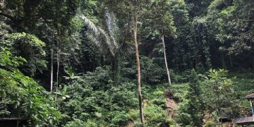 Menjelajah Pesona Air Terjun Anglo: Surga Tersembunyi Sebuah Pedesaan di Pesawaran