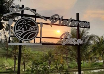 Plataran Desa: Wisata Kuliner dengan View Hamparan Sawah di Pringsewu, Lampung