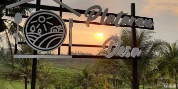 Plataran Desa: Wisata Kuliner dengan View Hamparan Sawah di Pringsewu, Lampung