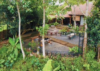 Backland: Coffee Shop Dengan Pemandangan Sawah dan Gunung di Pesawaran