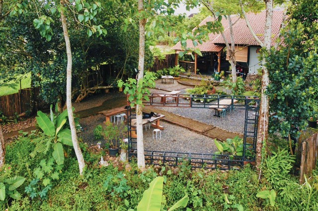 Backland: Coffee Shop Dengan Pemandangan Sawah dan Gunung di Pesawaran