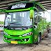 Bus Baru di Bandar Lampung: Rute Itera-Tanjung Karang Cuma Rp 5 Ribu