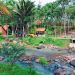 Serunya Nyobain Private Camp di Pinggir Sungai ala Amandadi Riverside, Pesawaran!