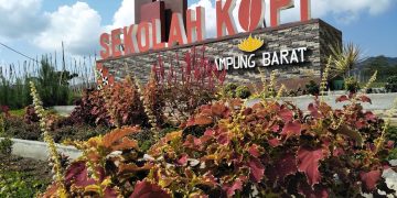 Sekolah Kopi: Bersantai Sambil Belajar Buat Kopi di Lampung Barat