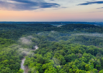 Jaga Ekosistem Asli, Ini Cagar Alam di Provinsi Lampung