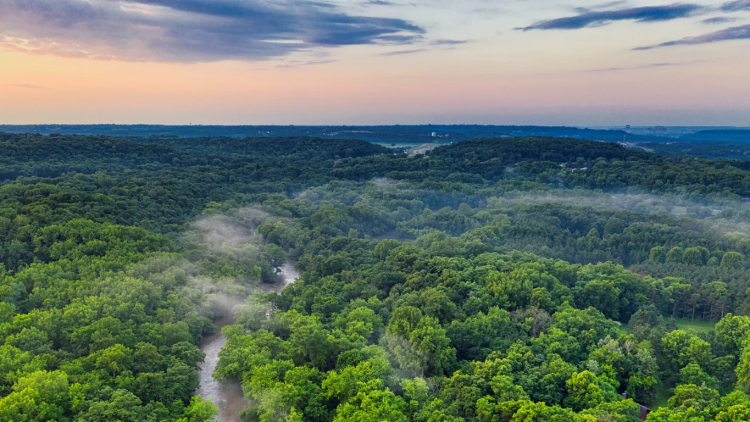 Jaga Ekosistem Asli, Ini Cagar Alam di Provinsi Lampung