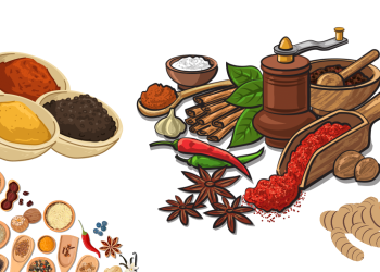 Cari Tahu Komoditi Biofarmaka yang Melimpah di Lampung