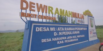 Bukit Cendana Pesawaran: Berkemah dengan View Cantik Bukit Hingga Laut