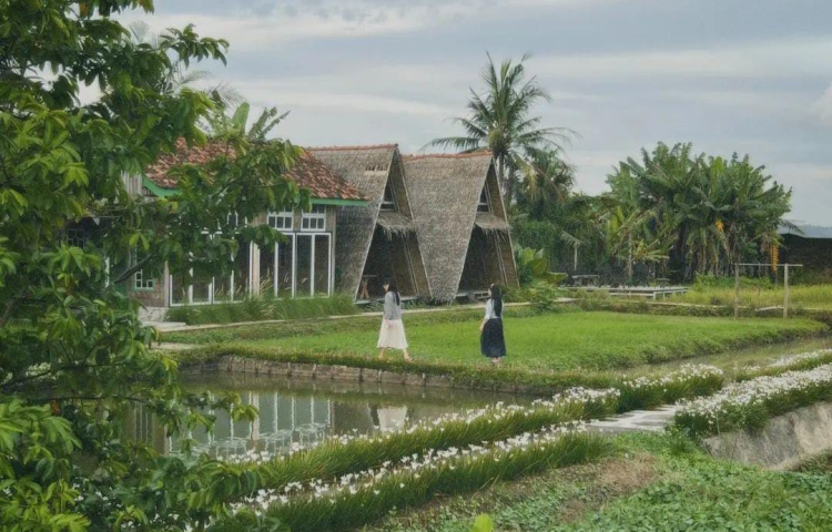 Mampir ke Pringsewu Jangan Lupa Kunjungi Tempat-Tempat Ini
