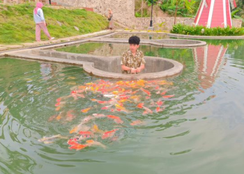 Farmday : Wisata Edukasi Bisa Main dengan Satwa Lucu di Bandar Lampung