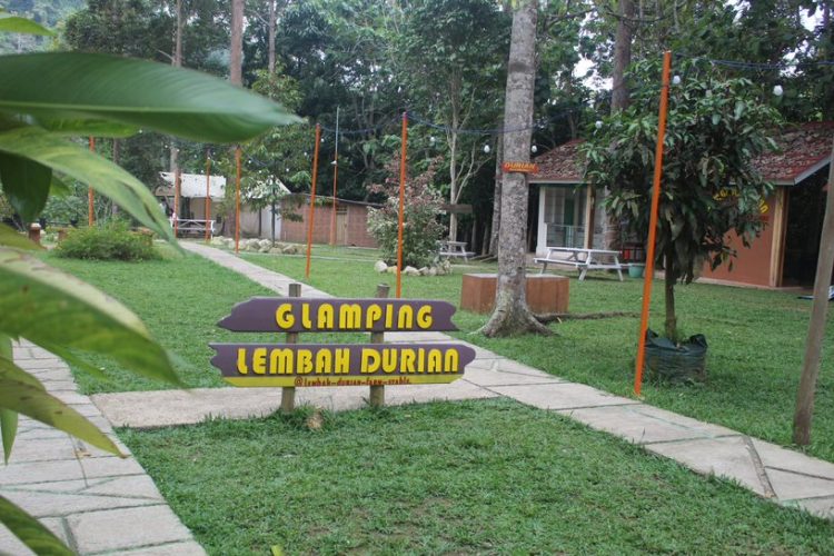 Lembah Durian Farm Stable Kemiling: Rekreasi Asik Bisa Glamping dan Berkuda