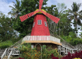 Spot Bunga Cantik di Lampung yang Instagramable Banget