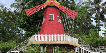 Spot Bunga Cantik di Lampung yang Instagramable Banget