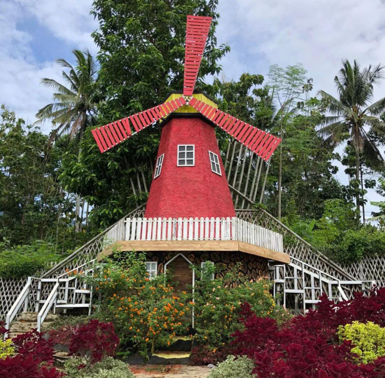 Spot Bunga Cantik di Lampung yang Instagramable Banget