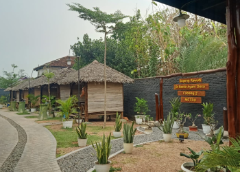 Ayam Desa 2 Metro: Restoran Santai Cocok untuk Ajak Keluarga, Menu Lezat Beragam dan Harga Terjangkau